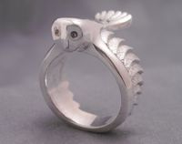 barn owl ring