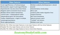 Venereology Question and Answers - Anatomy Study Guide