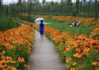 Liupanshui Minghu Wetland Park