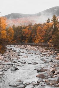 Lincoln Woods Trailhead White Mountain National Forest New Hampshire | New England Fall Photography | Fall Photo Spots