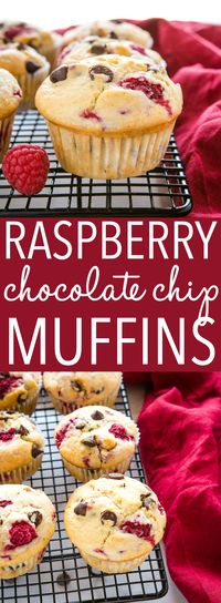 These Raspberry Muffins with Chocolate Chips are the perfect sweet treat for breakfast or brunch. Make this recipe for moist, tender muffins packed with sweet chocolate chips and juicy, fresh raspberries! Recipe from thebusybaker.ca! #raspberrymuffins #muffins #baking #chocolatechip #sweet #baker #muffinrecipe via @busybakerblog