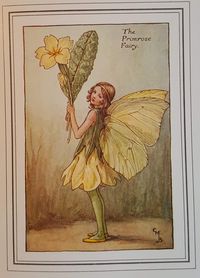 The Flower Fairies - Primrose Spring Flower Fairy - Nostalgic Original Vintage Print from the 1930's "Very good condition and the colors have retained their original depth. Excellent gift" This print comes UNMOUNTED so you may put it into any frame that you choose.  Perhaps have a collection of Flower Fairies in a multi aperture frame.                                  Great for a birthday or gift idea or for a child's nursery. NOT A REPRODUCTION PRINT BUT A TOTALLY original vintage/antique litho