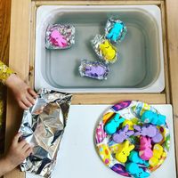 Julie (@rockymountain.speechadventures) added a photo to their Instagram account: “Peeps Marshmallow Bunny STEM 🚣‍♀️ We used our leftover Peeps to create some boats for our bunnies…”