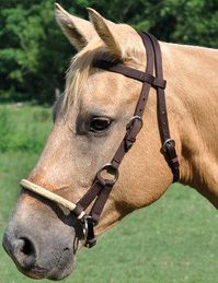 Side Pull Bridle The Side Pull Bridle is a 3/4" poly browband headstall and braided rawhide noseband. Color: Brown ATTRIBUTES Style: Browband Material: Nylon Thickness: ¾"