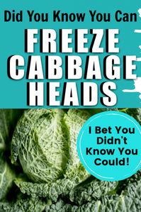 Step-by-Step Guide: Freeze Fresh Cabbage Heads » Homesteading Where You Are