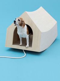 Famous architects and designers like Kengo Kuma, Konstantin Grcic and Shigeru Ban have unveiled doghouses at the Architecture for Dogs exhibition at the ADI Design Museum in Italy. 