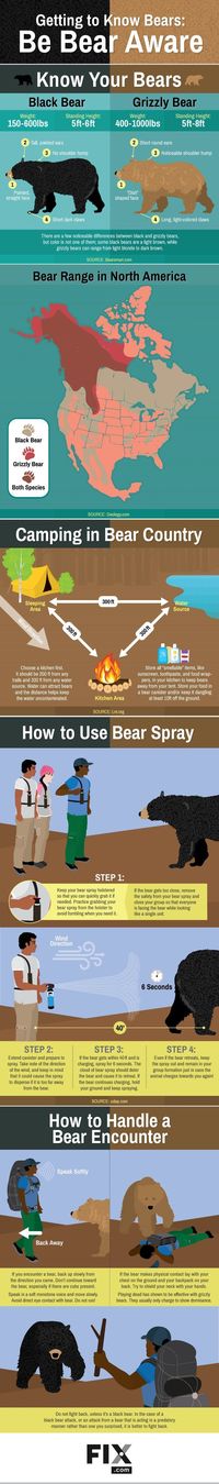 Learn how to maintain the bears away whereas tenting and climbing!.... Learn more at the image link