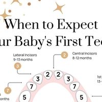 Elizabeth Holman | Baby + Toddler Sleep coach on Instagram: "Save this for later! 

Let’s chat about those little teeth coming in. You know, one of the exciting firsts for your little one! Wondering when they’ll start showing up and how they’ll come through? 

Well, I’ve got just the thing for you—a handy chart you can save, so you’ll know exactly what to expect.

#babyteeth #teething #teethingtimeline #teethingchart #babytooth #teethingbaby #teethingtips #babymolars"