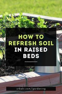 Learn how to refresh the soil in raised beds for the next time you plant, fast and simple! In this video, you will also find a complete guide to explain what NPK fertilizers are and how you can use them in your garden if you are interested. There are 16 elements that are essential for the growth of the vast majority of plants. These can be nourished by synthesizing their own food from the minerals that make up the surrounding soil, air, and water. However, as we grow crops over and over ...