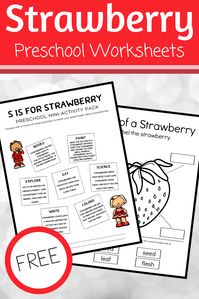 These strawberry worksheets are perfect for summer lesson plans for preschoolers. Includes science, books, art, and more! #sisforstrawberry #letteroftheweek #preschoolthemes #homeschoolprek