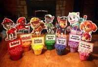 Paw patrol center pieces                                                                                                                                                                                 More