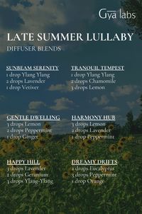 Unwind with the soothing scents of our Late Summer Lullaby diffuser blends. 🌙🍃 Perfect for those serene evenings when you need a gentle, calming touch.  #GyaLabs #UpliftYourEveryday #essentialoils #summerseason #amazing #soulwisdom #August #vibes #summer  #summervibes #abundance #abundancemindset #miracles #blessings #inspiration #NaturalCare #HealthyLiving #EssentialOils #woman