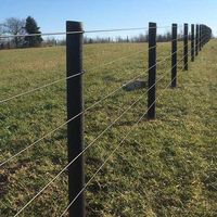 Raceline Flex Fence® Coated Wire | RAMM Horse Fencing & Stalls