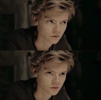 Polubienia: 526, komentarze: 1 – 🧡Multifandom🧡 (@be.bloody.inspired) na Instagramie: „I’m depressed. Someone cheer me up.. #themazerunner #thomasbrodiesangster #thomassangster #tbs”