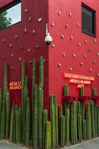 Mexico City’s 23 Best Unique Photo Spots (With Locations)