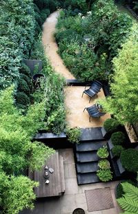 Chris Moss London Garden aerial view