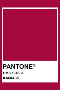 PANTONE 1945 C #pantone #color #PMS #hex