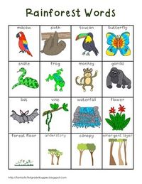 This is a pack of for your writing center or word wall. They are a set of rainforest words. This pack contains a full page list (color and black and white versions), word strips, and word wall cards. My kids love to use them to help them spell words or