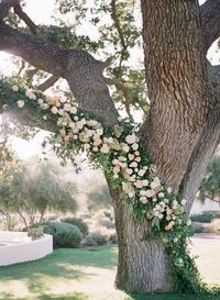 A Timeless Tented Wedding at The Ojai Valley Inn