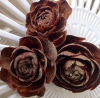 16 + DIYs to Make Pine Cone Flowers | Guide Patterns