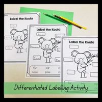 Australian Animal | Koala Informative Writing Activities | Label A Koala