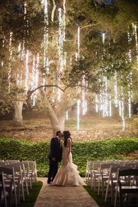 110V Plug-in Option. 7-ft Tree Hanging Lights for Weddings and - Etsy