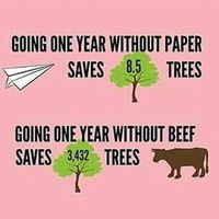 The impact of 1 person being vegan per year is mind blowing. ...#purposeinlife #mindfulliving #makeachange #vegan #savetheplanet #happycow by veganosano