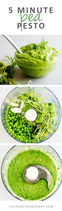 5 Minute Pea Pesto - This traditional pesto recipe gets a springtime twist with fresh peas and pea shoots! An easy, creamy pesto sauce perfect for topping pasta, chicken, fish, and more. Ready in just five minutes with your food processor!