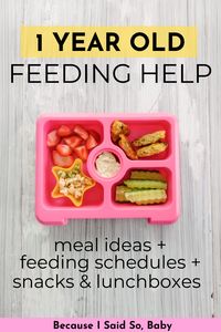 This 1 year old feeding schedule will make feeding your baby so much simpler. Get a sample menu, 1 year old meal ideas, plus answers to your most common questions on feeding a 12 month old. #1yearold #mealideas #feeding #routine #schedule #easy #help #howto #ideas #oneyearold #toddler #baby #snacks #breakfast #lunch #dinner