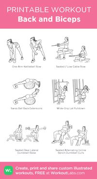 Back and Biceps – my custom workout created at WorkoutLabs.com • Click through to download as printable PDF! #customworkout