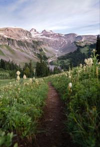 View coming oht of Indian Bar in Ohanapecosh Park, Mount Rainier National Park. Photo by SomewhereSierra