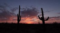 Go to link to see the 4k version of this cool time-lapse footage from the McDowell Sonoarn desert preserve and hiking trails in North Scottsdale, Arizona. #arizona #scottsdaleaz #timelaplse #sunrise #sunset