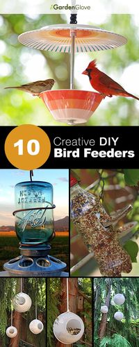 10 Creative DIY Bird Feeders • A great round-up on DIY Bird Feeder projects from around the web with lots of Tutorials!