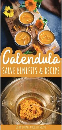 Discover DIY Beauty Recipes & Homemade Beauty Products with calendula salve benefits & recipe. This homemade salve offers numerous benefits for the skin and is easy to make. Perfect for soothing dry skin, rashes, and minor injuries. Learn how to create this effective calendula salve with shea butter. Find more herbs for health, DIY body care, and natural remedies at growforagecookferment.com.