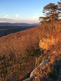 Mentone, Alabama | A mountaintop view- Little River Canyon National Preserve, DeSoto State Park |