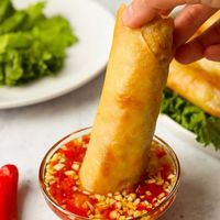 Vietnamese Egg Rolls (Chả Giò). Crispy golden brown egg rolls filled with mung bean noodles, ground meat, mushrooms, and vegetables with a sweet tangy dipping sauce! A perfect appetizer or side dish. Perfect for a gathering!