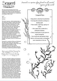 Sea Witch Grimoire Part 2 Seaweed 4