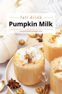 Step aside PSL, this creamy pumpkin spice milk is about to seduce your tastebuds. Made with real pumpkin, cozy spices, and a dreamy, whipped topping, this delicious pumpkin milk is sure to be a favorite fall drink. It tastes alike pumpkin pie in a mug and can be served as a hot pumpkin drink or enjoyed cold pumpkin smoothie. It’s essentially a pumpkin spice latte without coffee and great for kids. Serve it for breakfast, as a tasty snack, or nightcap before bedtime. | CountryHillCottage.com