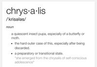 Chrysalis