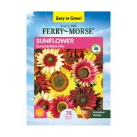 Ferry-Morse 90MG Sunflower Summertime Mix Annual Flower Seeds (1 Pack)- Seed Gardening, Full Sunlight - Walmart.com