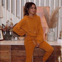 Billabong X Sincerely Jules Feeling Free Hoody (Sold Out) And Matching Joggers Size Medium Color Burnt Orange Worn Once