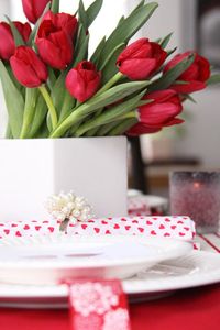 Red Tulips of Spring