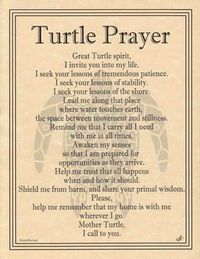 This beautiful parchment poster mingles the tribal artwork of Eliot Alexander with the poetic prayer of Travis Bowman to provide you with a prayer to the Great Turtle Spirit. 8 1/2" x 11"