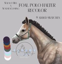 WH x SxG Foal Halter Recolor