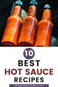 These delicious hot sauce recipes will have you never wanting to purchase hot sauce again! Everything from mild, to knock-your-socks-off hot, this hot sauce recipe compilation has a little something for everyone.