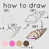 Anastasia Sälinger | How to draw a seashell 🖌 Swipe left for a coloring video 💕 Don't forget to check out my feed for more easy-to-follow drawing tutorials... .... | Instagram