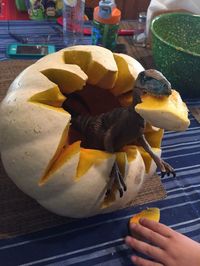 Whimsical, Scary and Incredibly Cool Pumpkin Design Ideas