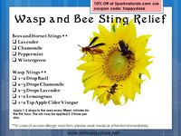 Essential oils for Wasp & Bee Stings