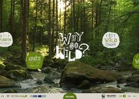 WWF - Why go Wild | Explore the Traditional and Wild toolbox and learn how the project promotes the traditional collection and use of wild plants to reduce...