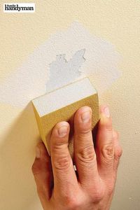 Best-Kept Secrets of Professional Painters